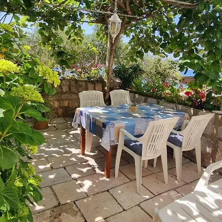 Appartement Marin - Viganj